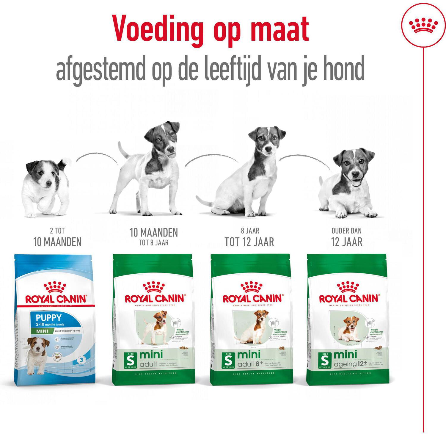 Royal Canin hondenvoer Mini adult 8+ 4 kg