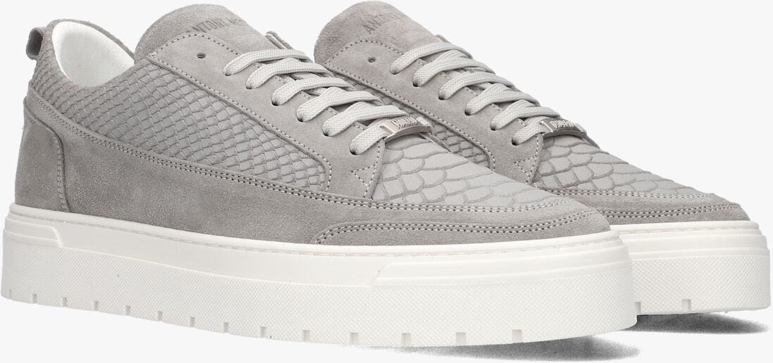 ANTONY MORATO grijze antony morato lage sneakers mmfw01664