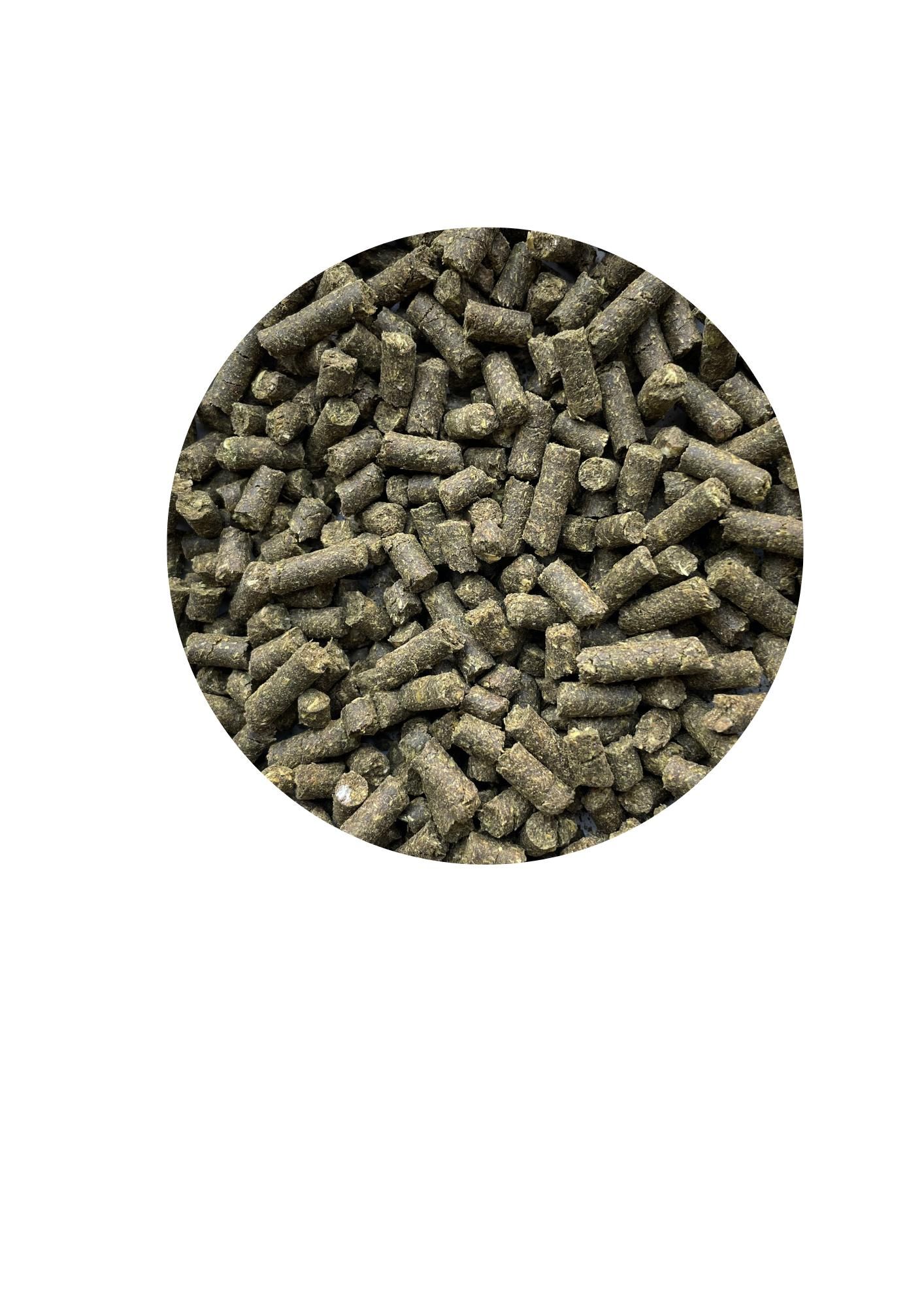 ATCOM BRONCHI-RAPID