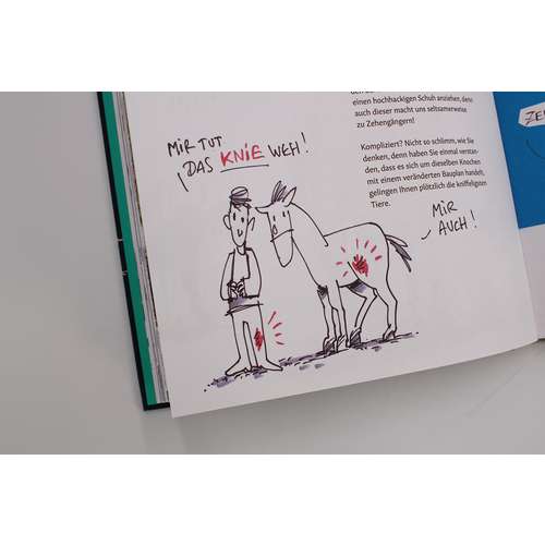 Tiere zeichnen und verstehen