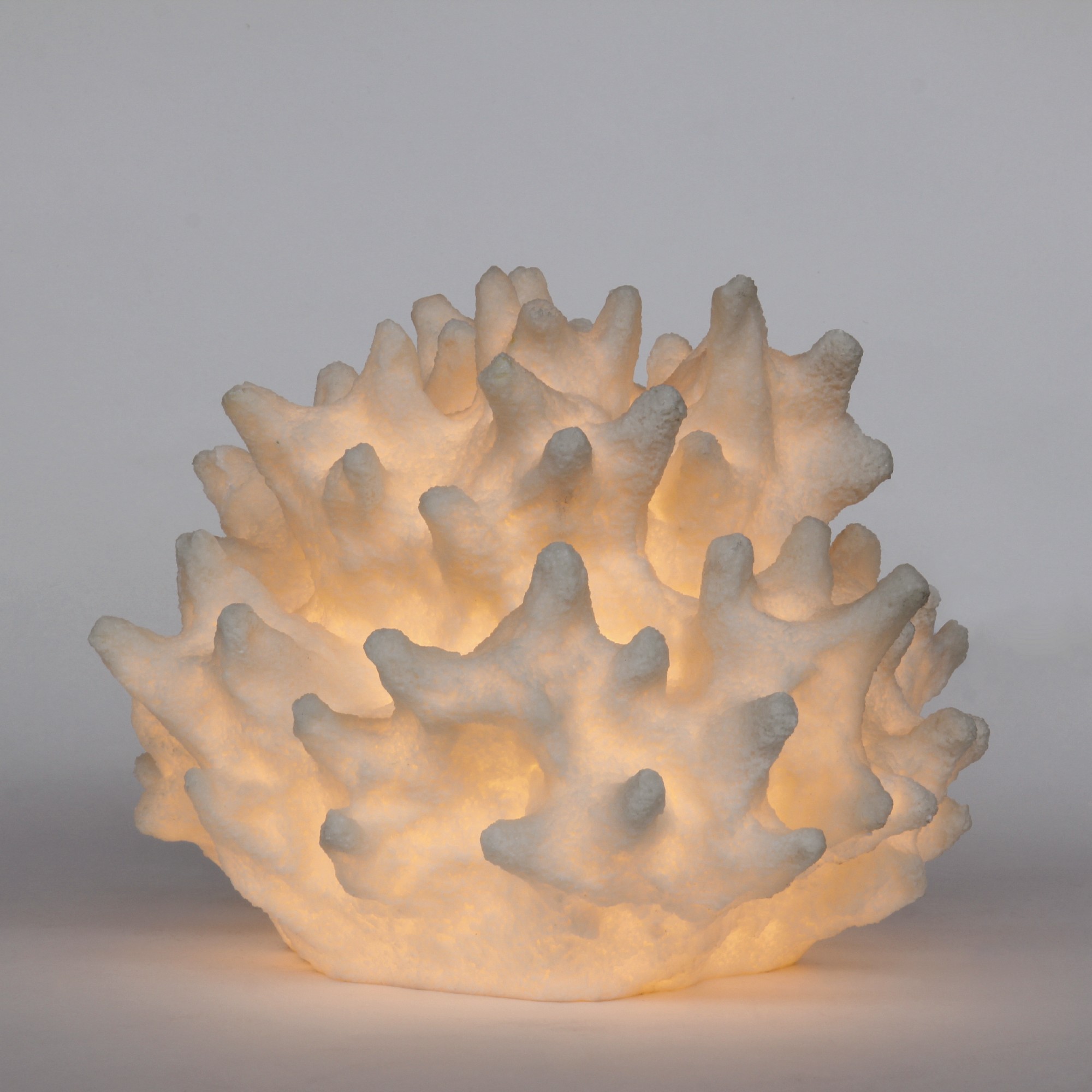 Leuchte 'Feuerkoralle', weiß, T 36 cm, B 35 cm, H 30,5 cm von fischer's lagerhaus