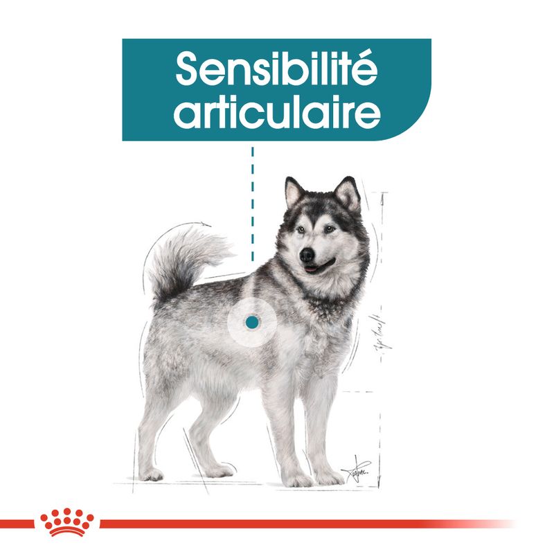 Royal Canin Maxi Joint Care