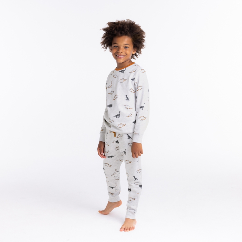Pyjama 2 pièces en jersey motifs dinosaures gris garçon