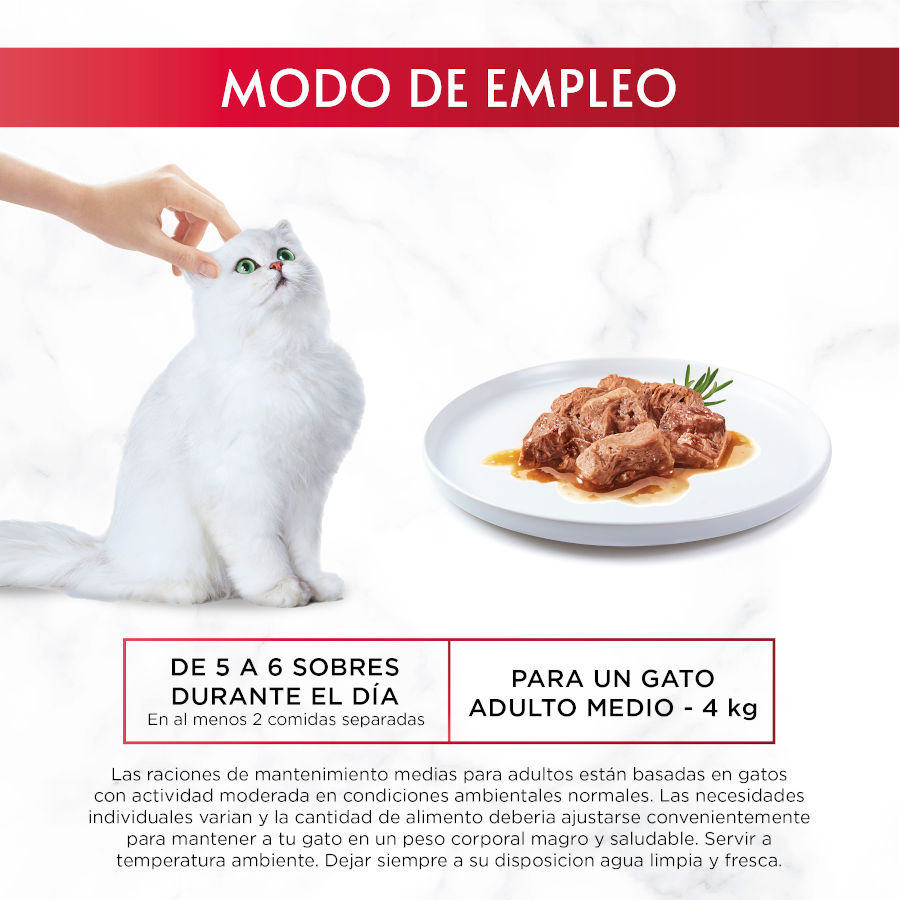 Seleção Gourmet Mon Petit de Peixes ao Molho