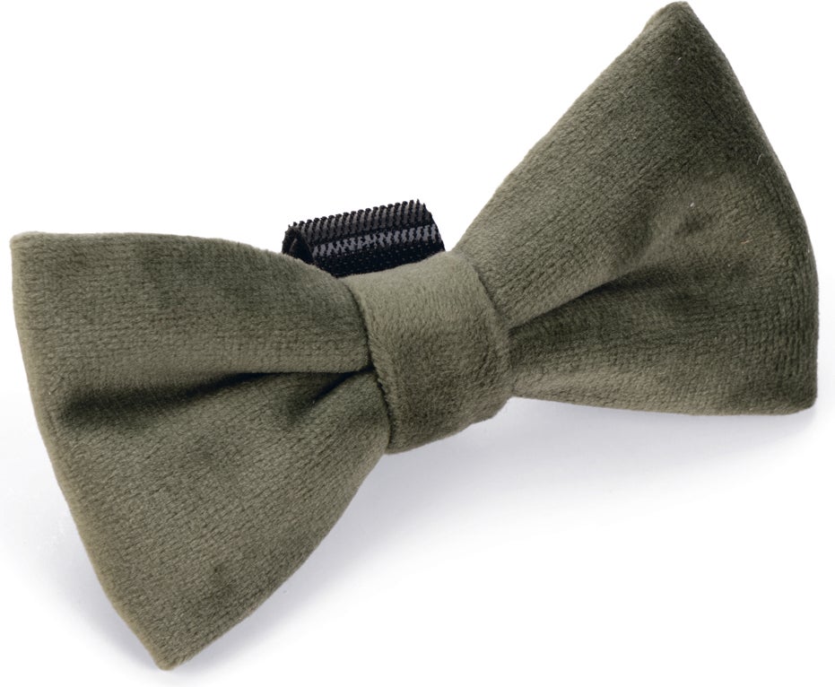 Designed by Lotte hondenstrik Zaza groen S
