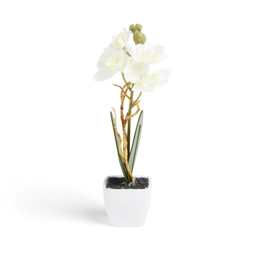 Pot orchidée artificielle blanche H16cm