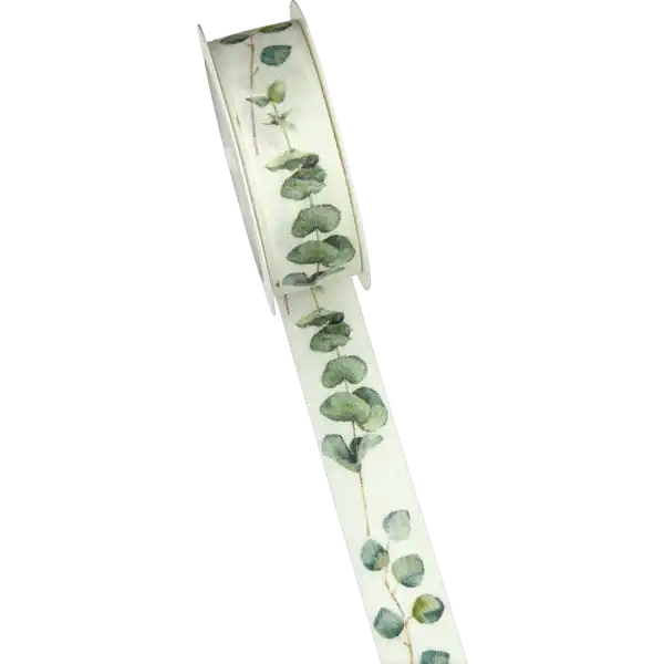 LAVPKT GESCHENKBAND EUKALYPTUS 25MM / 3m