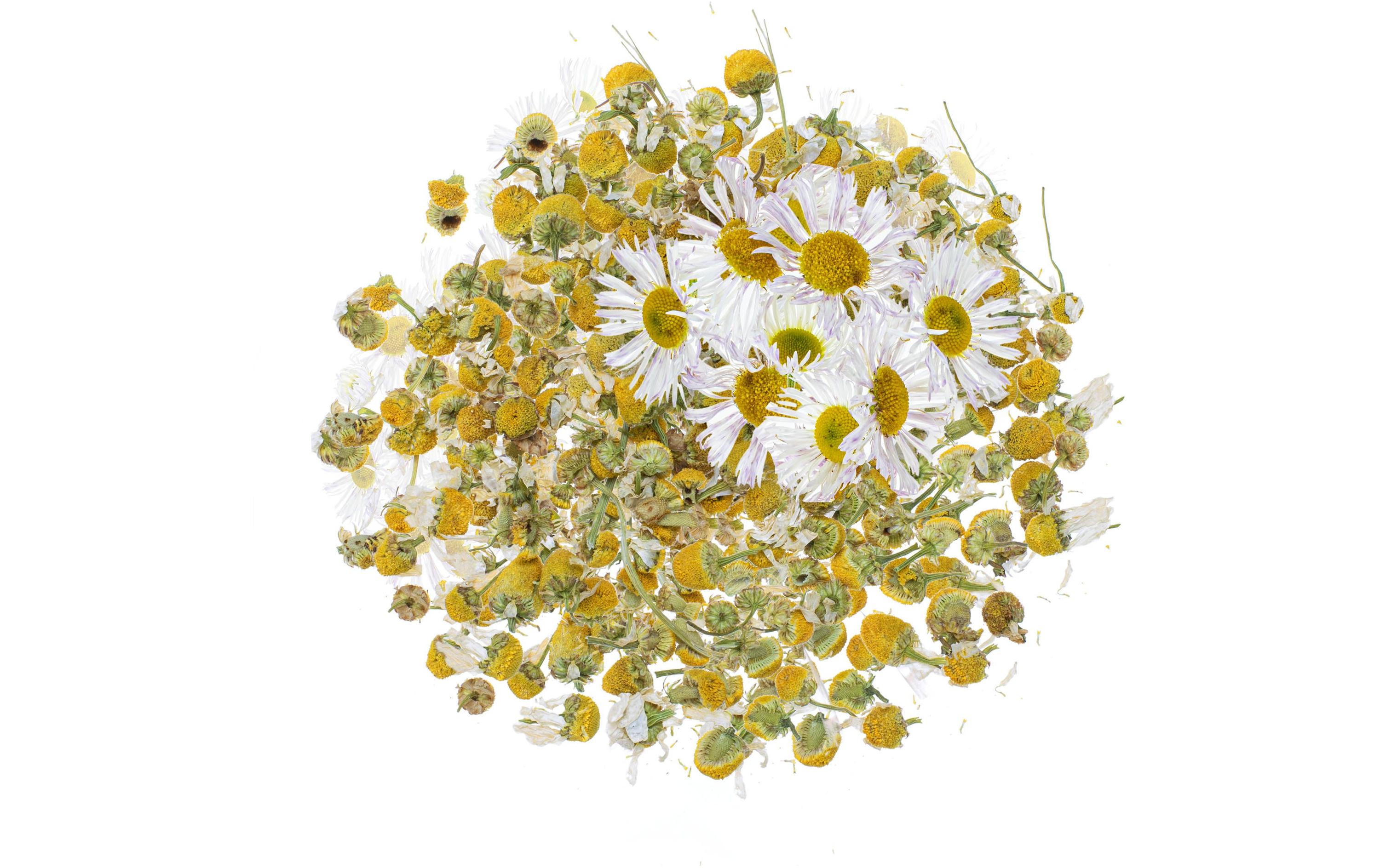 Blüten Kamille 3gKamillenblüten