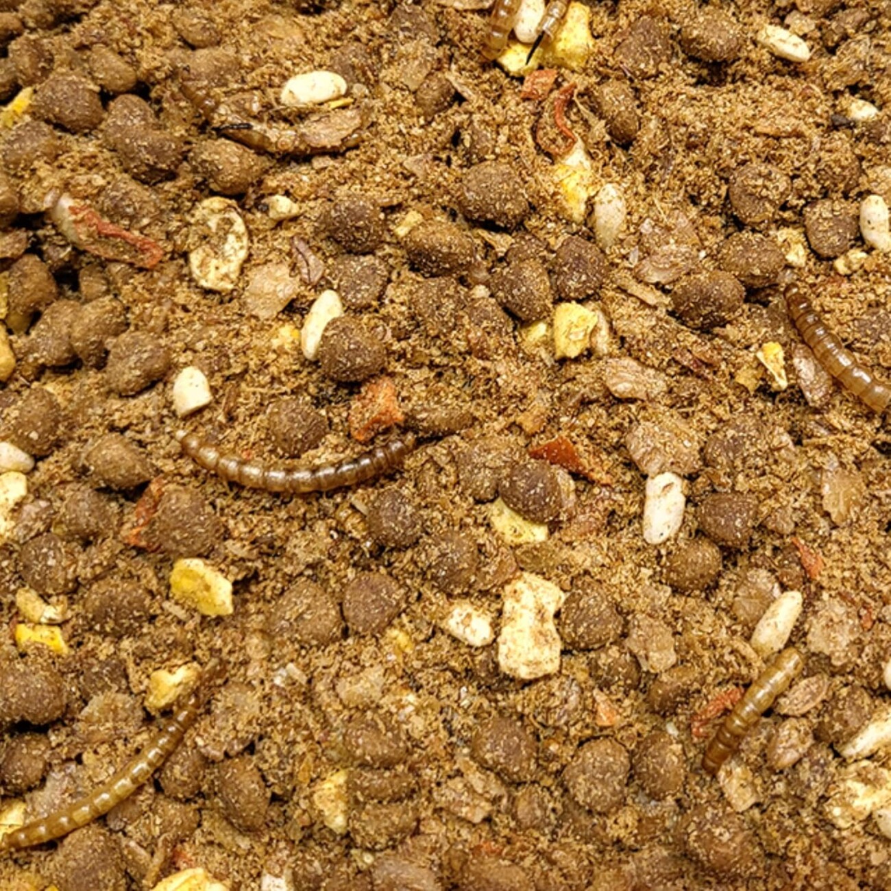 Supravit Igelfutter mit Insekten - Artgerechtes Igel Futter mit Mehlwürmer, Krebstiere, Früchte & Gemüse - Abgestimmt auf die speziellen Ernährungsbedürfnisse 1 kg