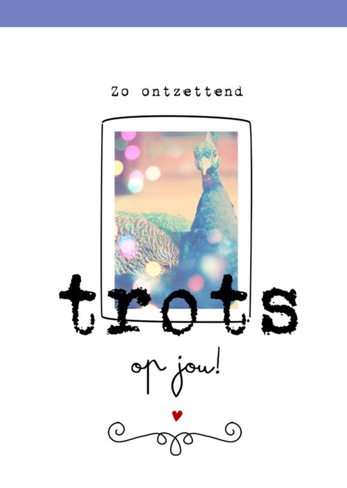 Paperclip | Complimenten kaart | trots op jou