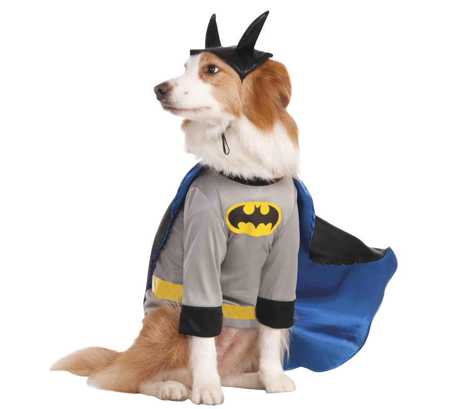 Fantasia do Batman para cães