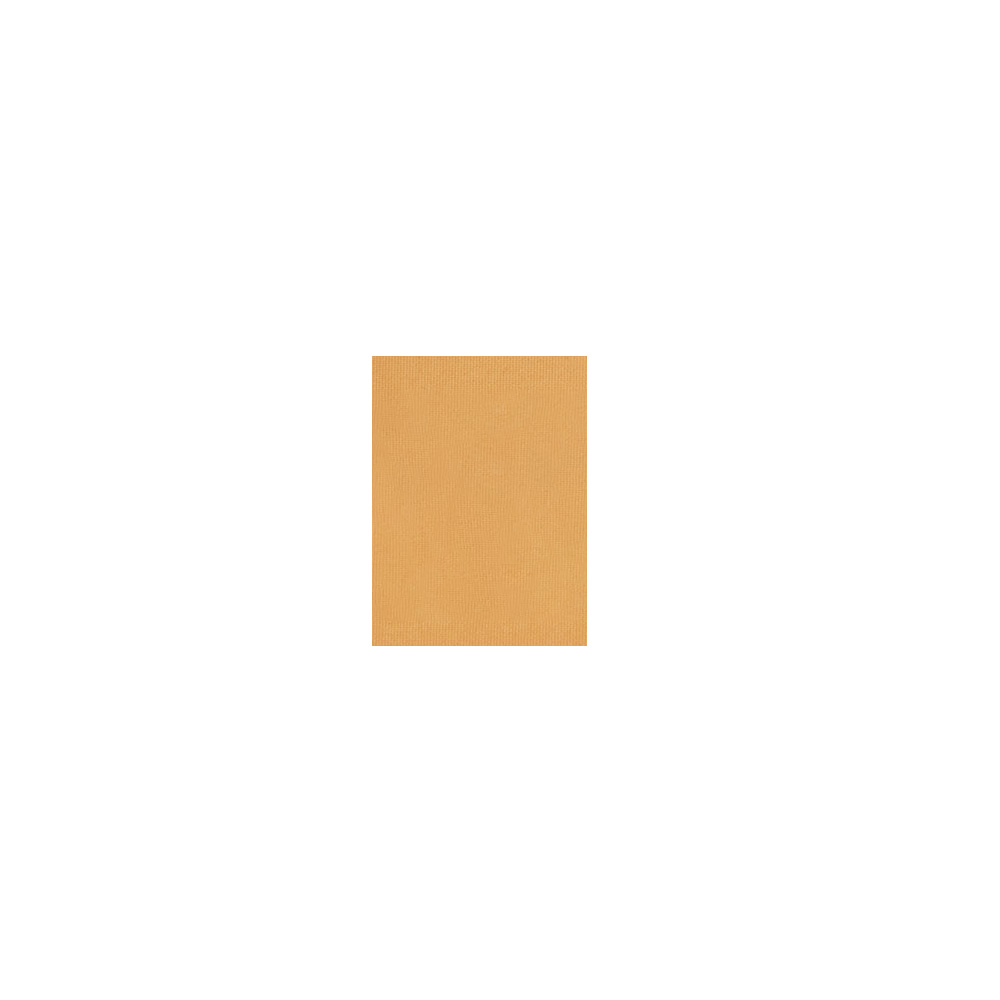Ben Nye - RCM - Studio Palette Poudre, TALT Free - REFILL, 3g