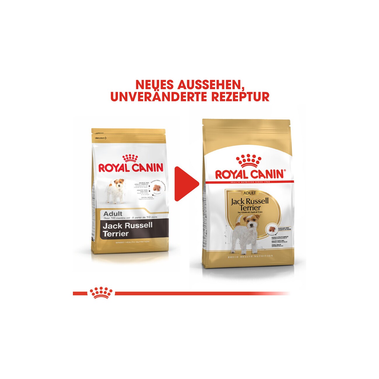 ROYAL CANIN Jack Russell Terrier Adult 1,5 kg