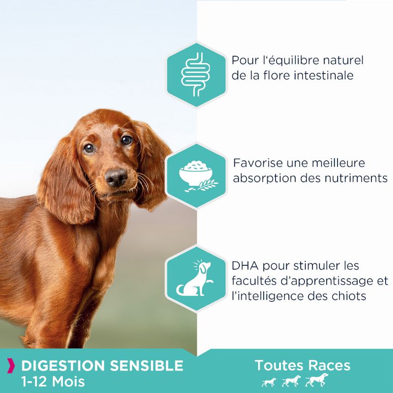 Eukanuba Puppy Sensitive Digestion poulet, dinde