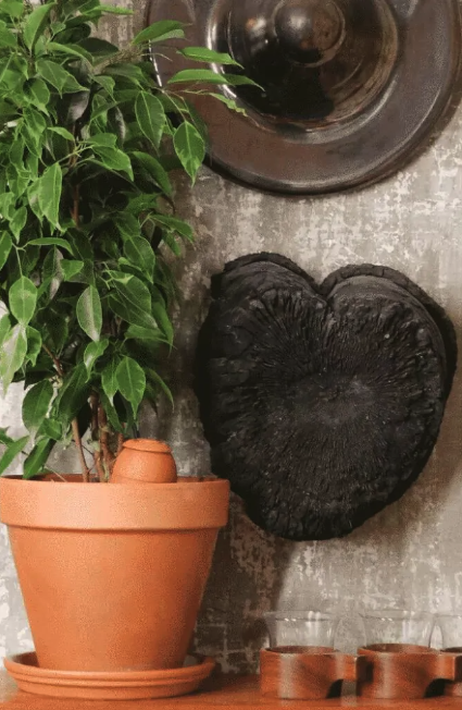 (0.7L) Olla M Terrakotta Pflanzen Bewässerungs Amphore Blumen Tiefenbewässerung (WP1030) - Orange