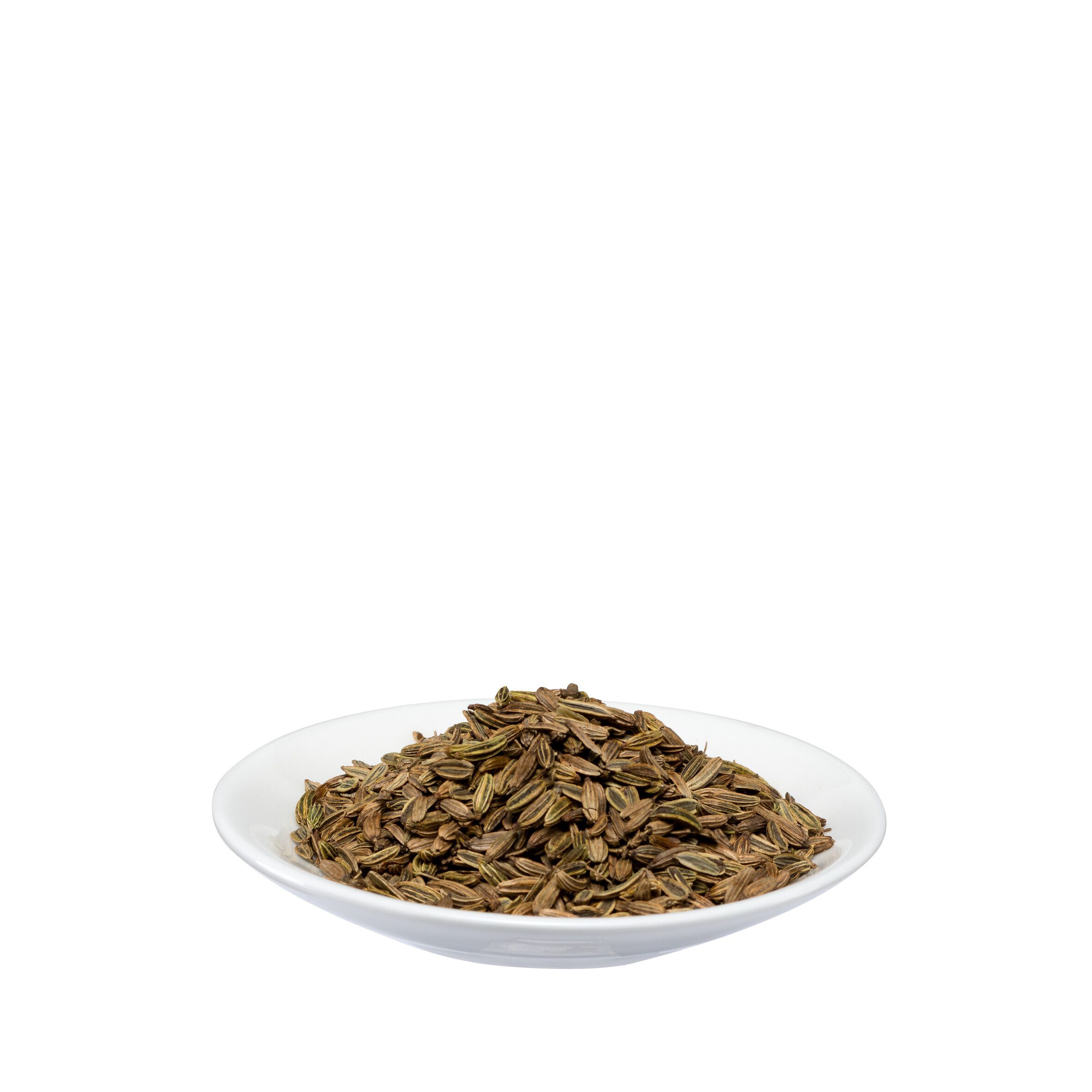 Salus® Fenchel Arzneitee