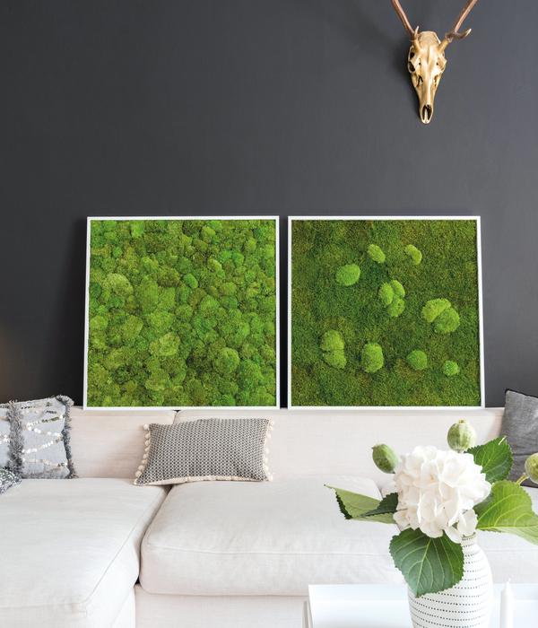 styleGREEN Bild aus Wald- und Kugelmoos,