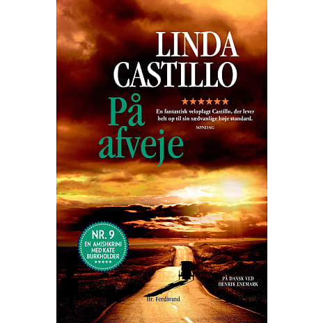 På afveje - Linda Castillo