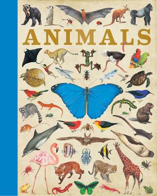 Animals (Hardback)