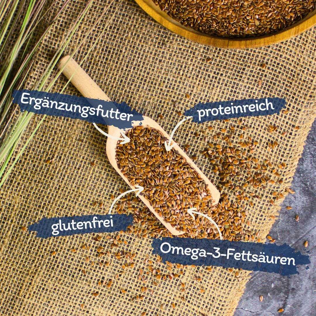 Lyra Pet® Leinsamen