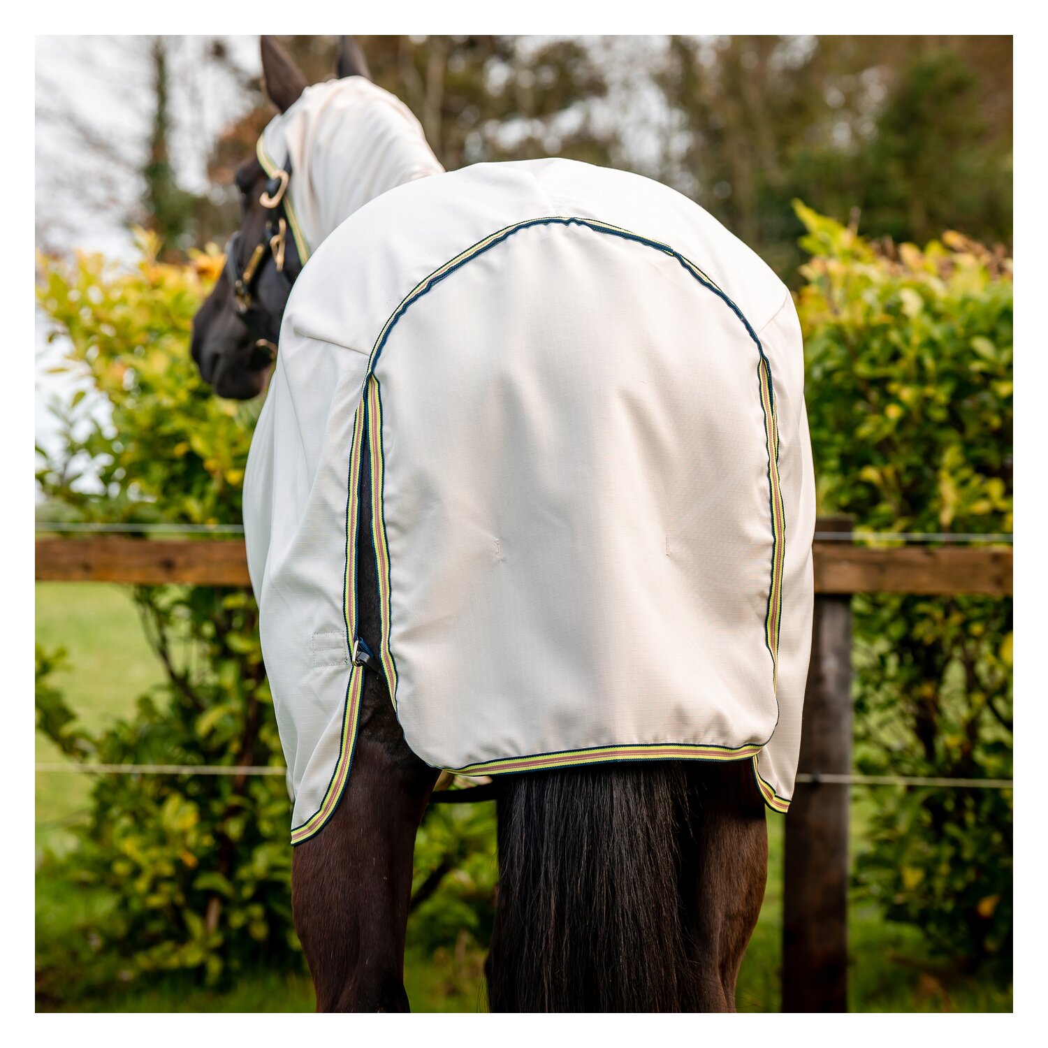 HORSEWARE Fliegendecke AMIGO Ripstop Hoody  - chalk/navy/rose