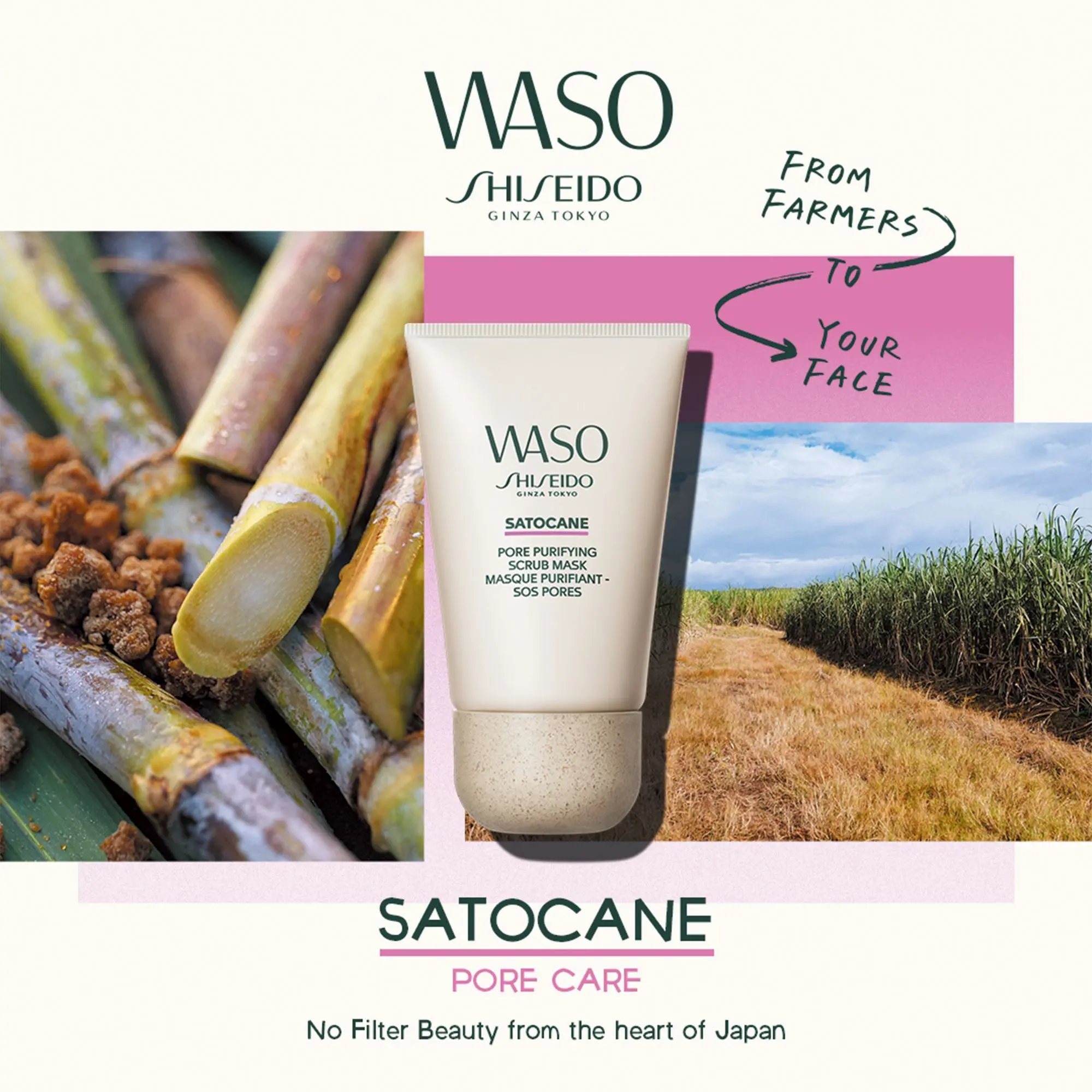 Shiseido - WASO Masque Purifiant- Masque