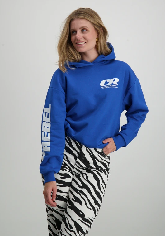 Colourful Rebel Hoodie Bold logo WH116093
