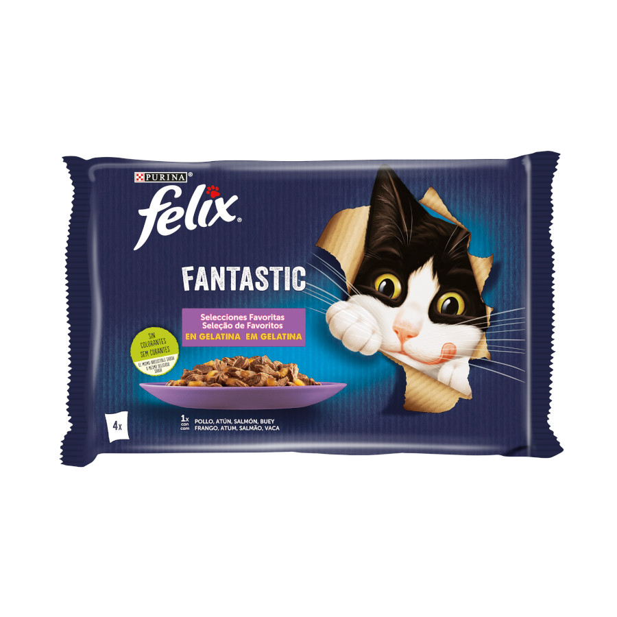 Sachês de geleia Felix Fantastic Favorite Selections – Pacote múltiplo