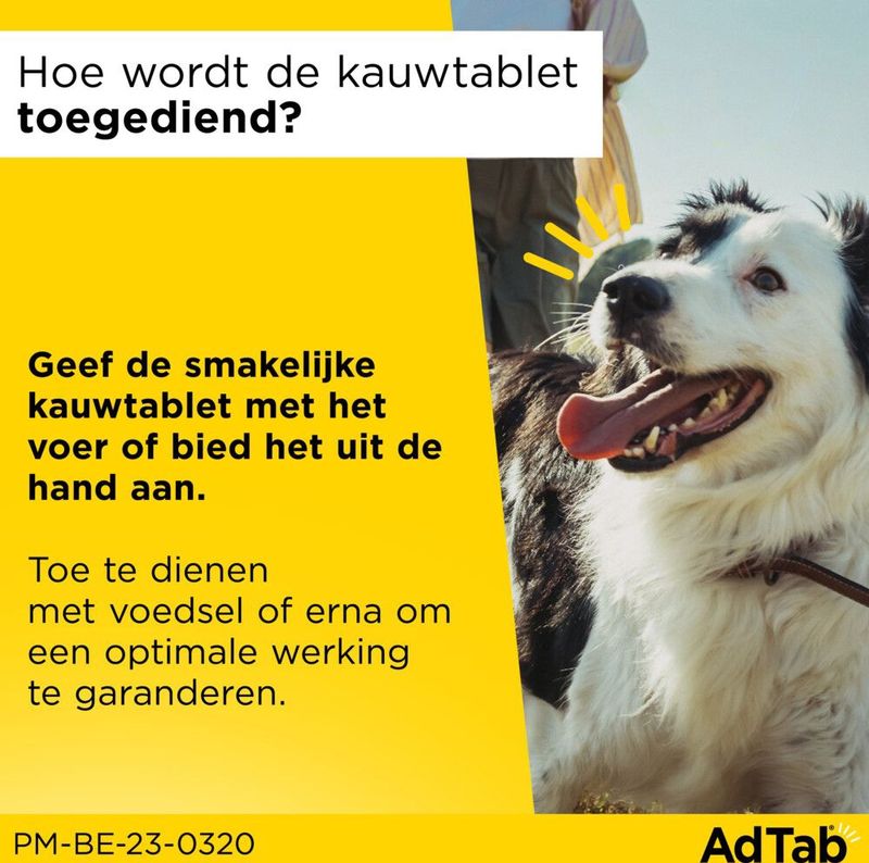 AdTab Anti Vlo en Teek Kauwtabletten Hond >22-45kg 3 tabletten