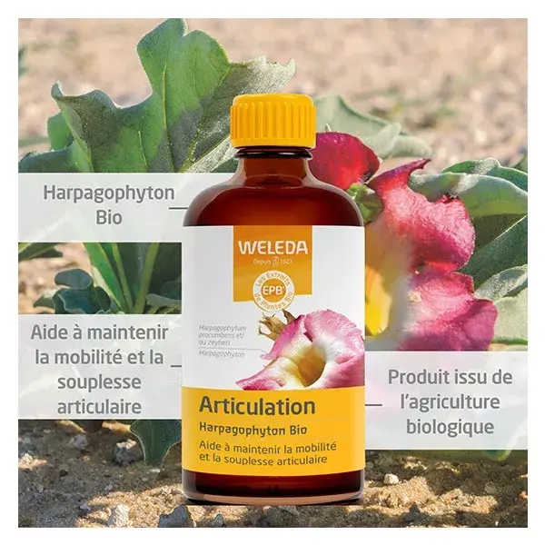 Weleda EPB® Harpagophyton Orgânico - Articulações 100 ml