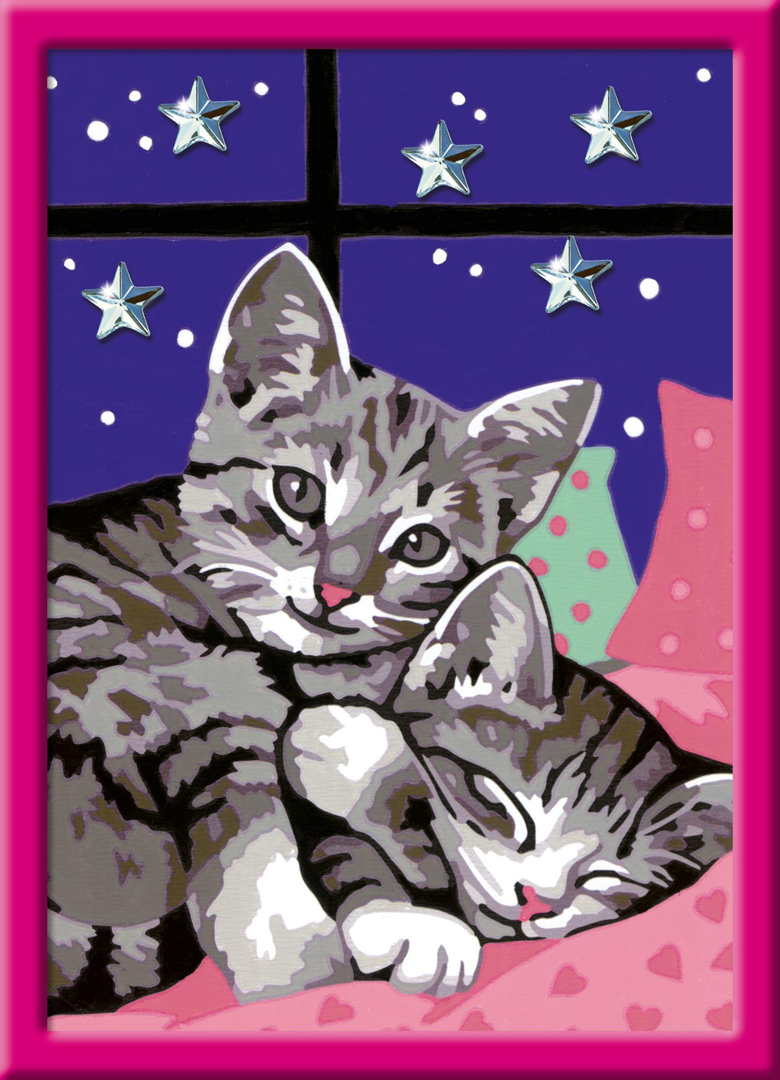 Malen nach Zahlen: Sonderserie E – Brilliant Schlafende Katzen
