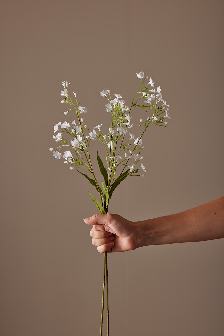 Brudeslør stilkblomst Hvit. H55 cm
