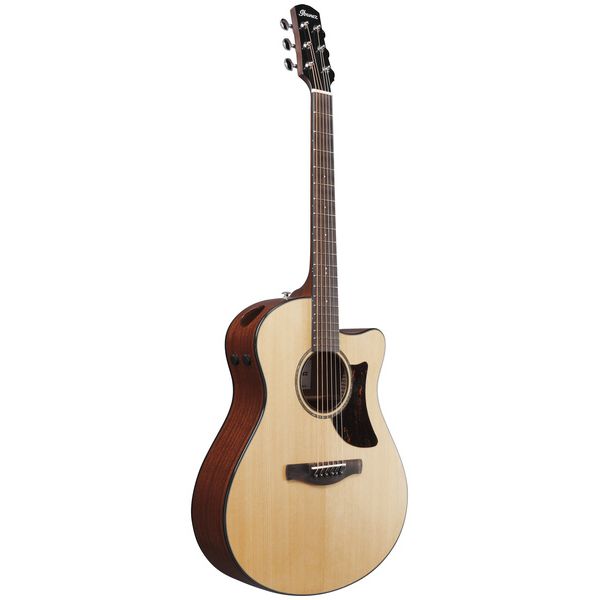 Ibanez AAM300CE-NT