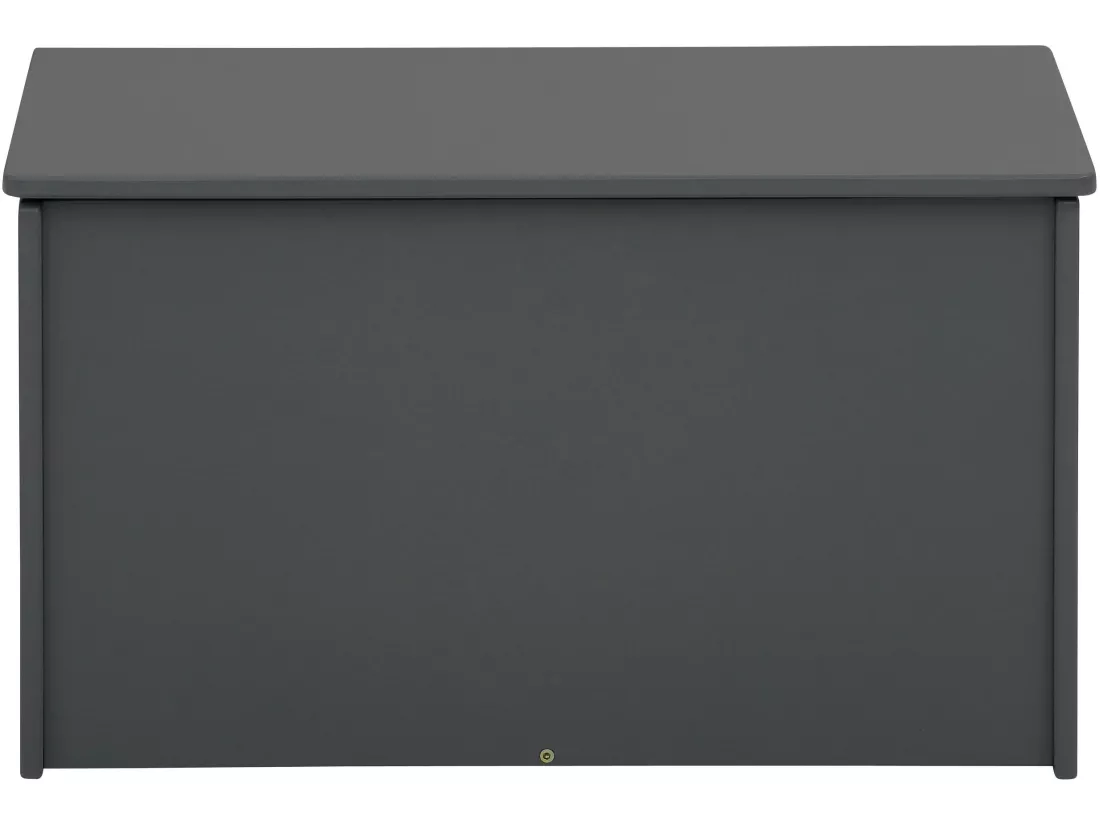 Alpi Trunk Grey