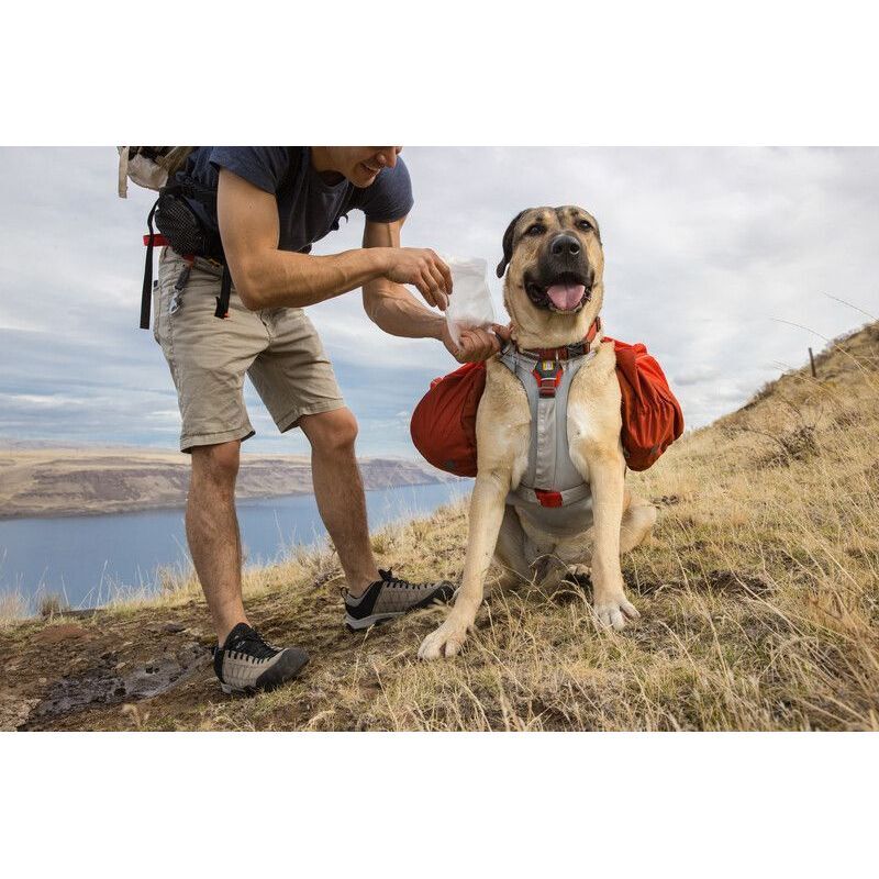 Swamp Cooler Core - Harnais pour chien