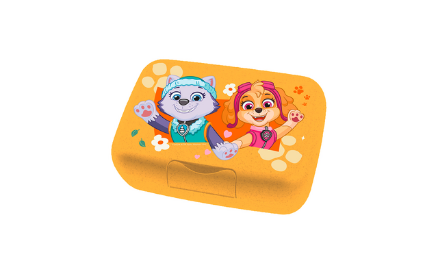 Koziol Candy L Box Lunchbox / Brotdose mit Trennschale