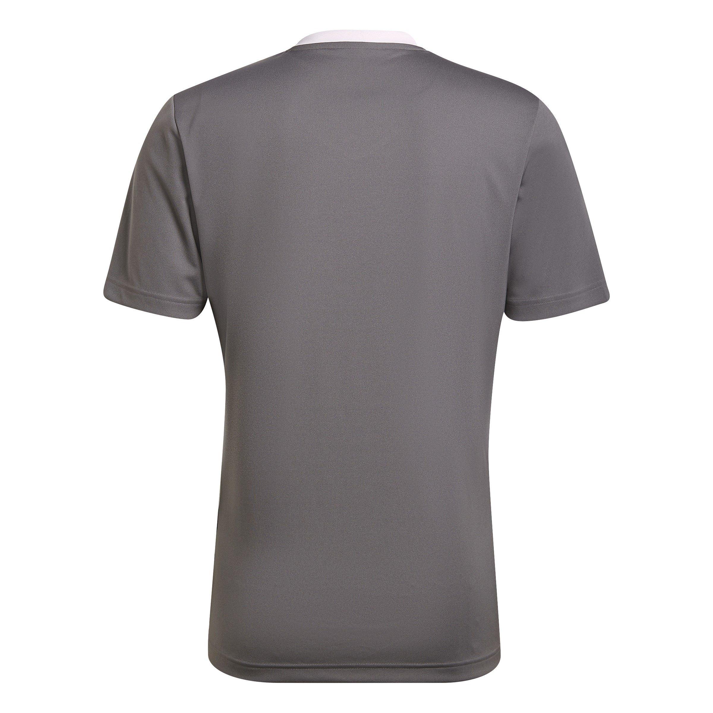 adidas Entrada 22 Short Sleeve Jersey Top Mens