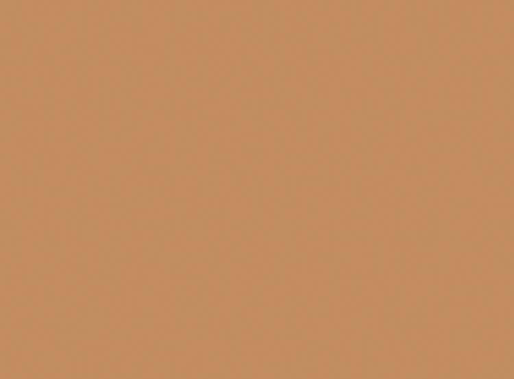 Milani Cosmetics Conceal+ Perfect 2-In-1 Foundation + Concealer Warm Sand 30ml