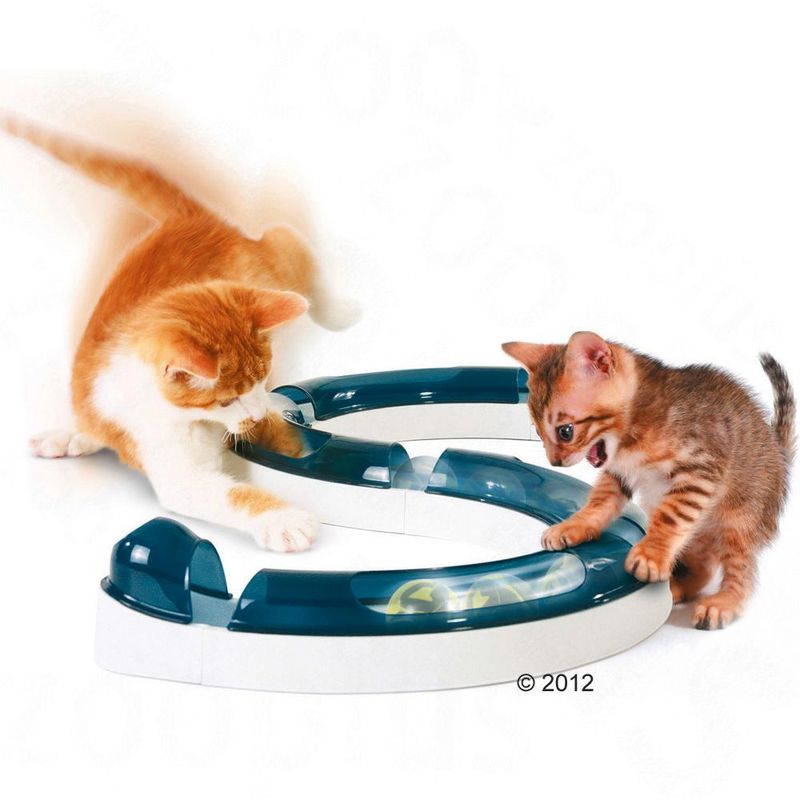 Circuit de jeu Catit Design Senses à prix discount sur bitiba.fr