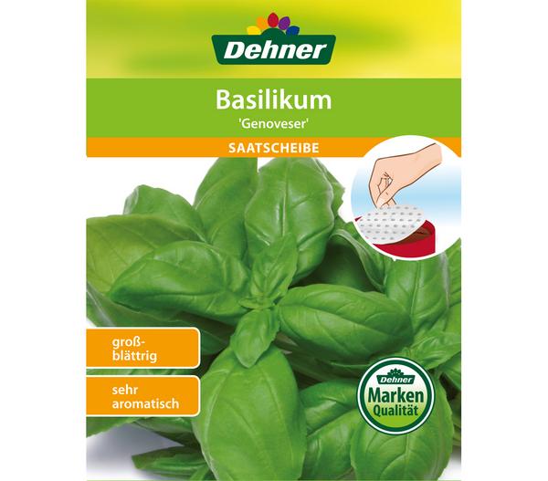 Dehner Samen-Set Easy Going