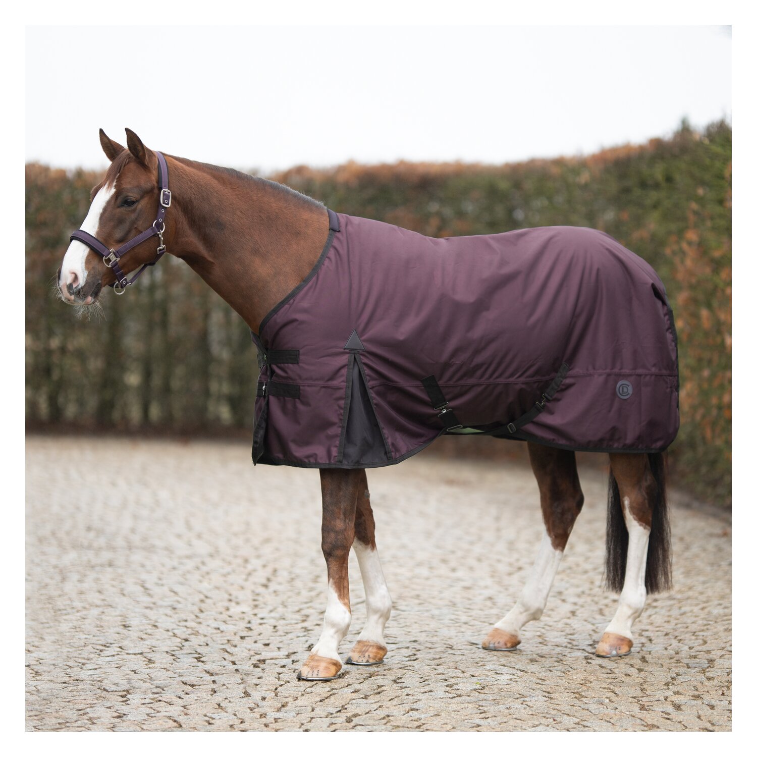 Cheval de Luxe Halfter  - velvet plum