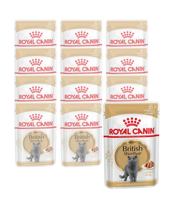 ROYAL CANIN® Nassfutter für Katzen British