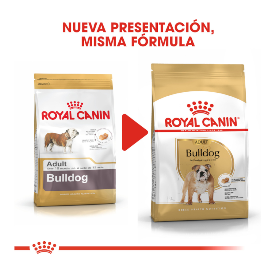 Ração Royal Canin Adult Bulldog para cães