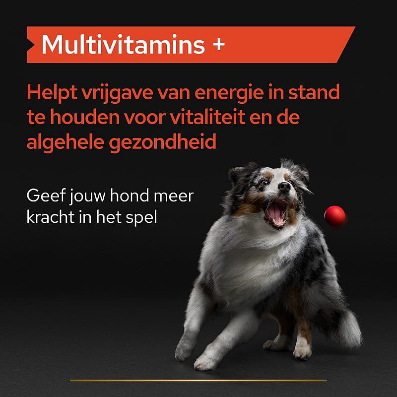 Purina Pro Plan Multivitamins+ Supplement Hond 45 tabletten | 13189