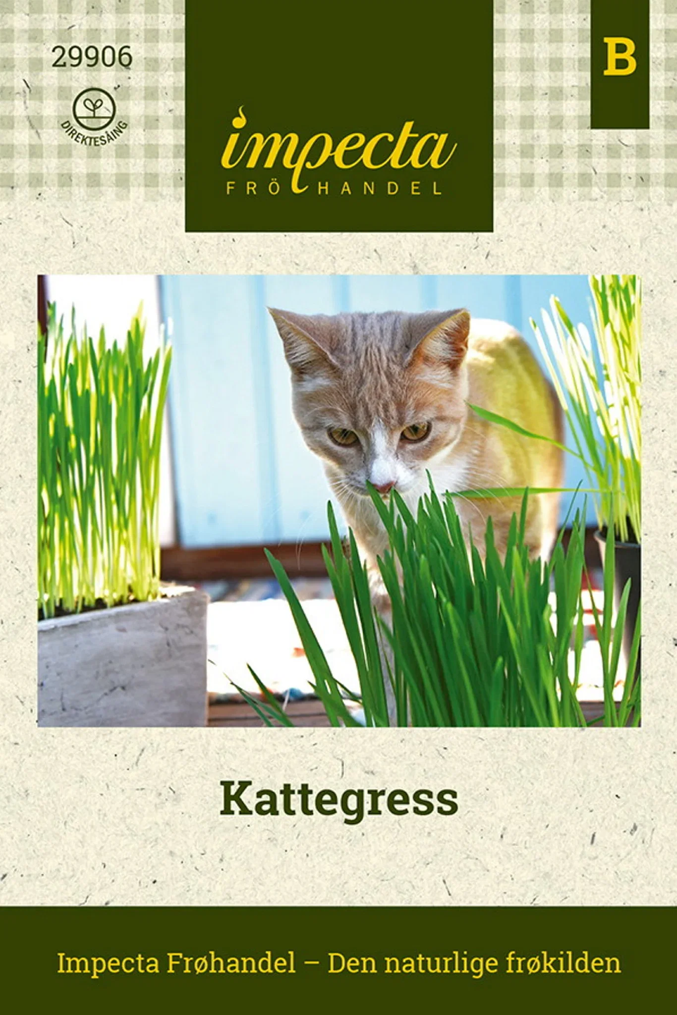 Avena sativa Kattegress