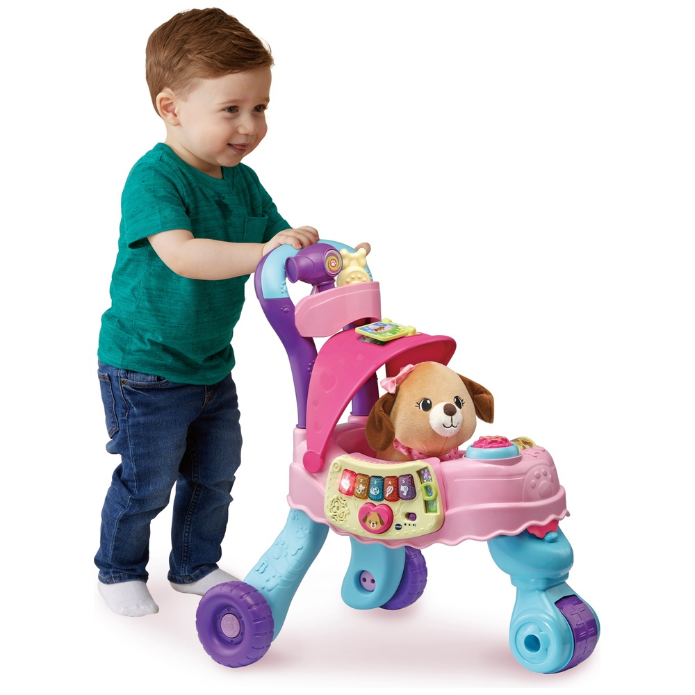 VTech Push Along Haustiertransportbox