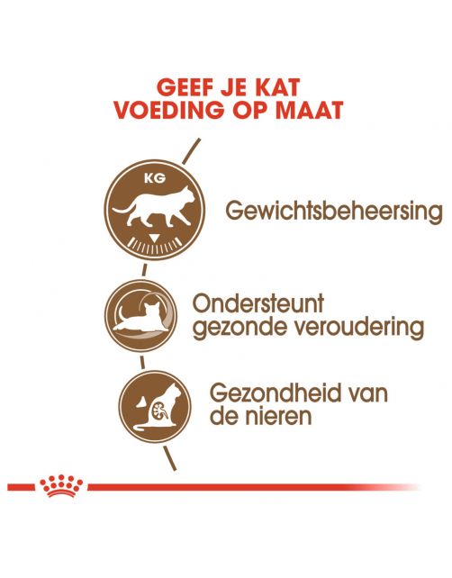 Royal Canin Ageing Sterilised 12+ - Kattenvoer