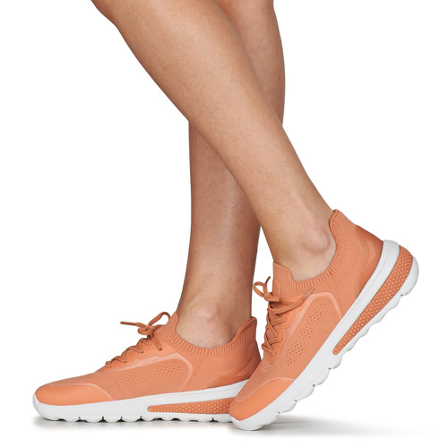 Geox - D SPHERICA ACTIF - Pêche