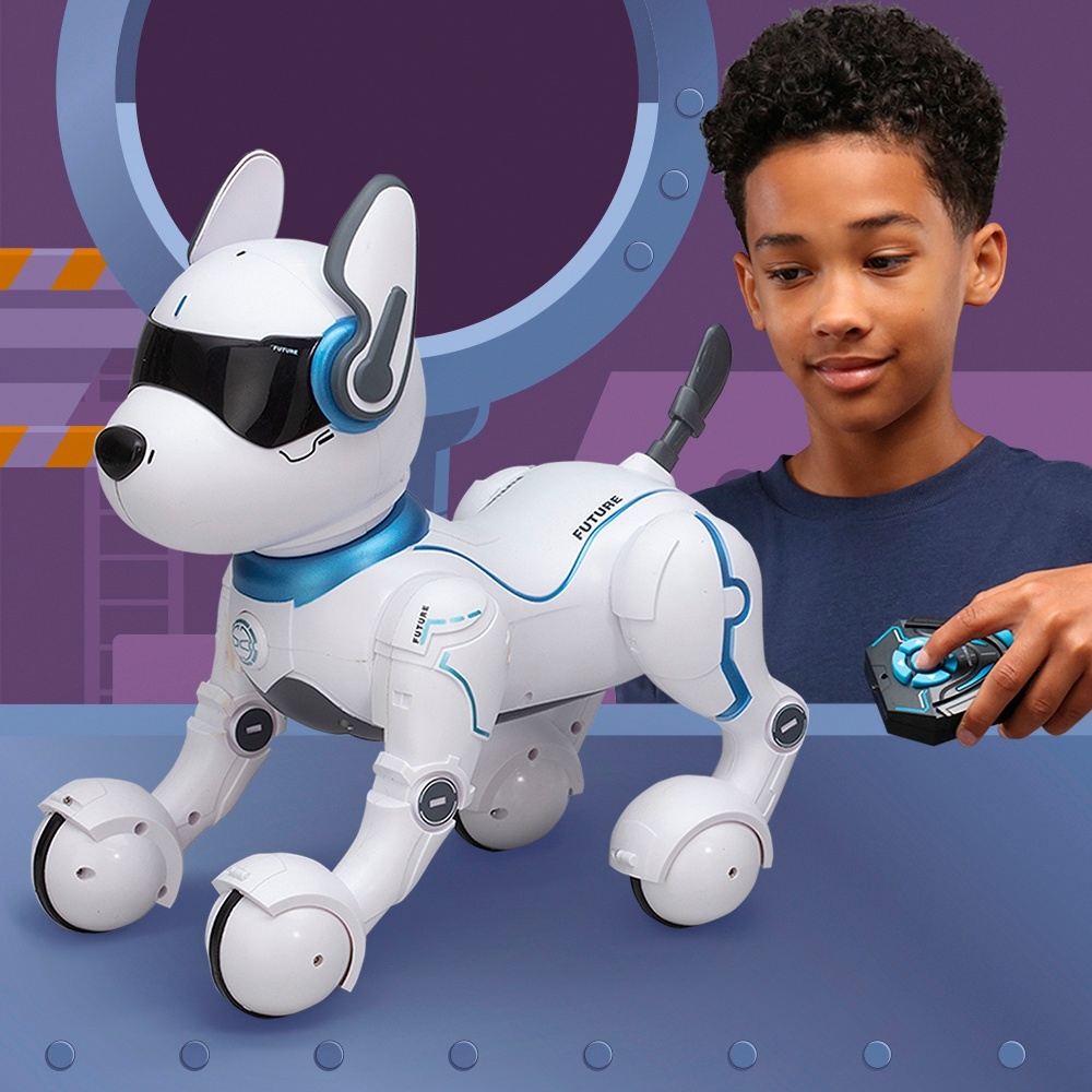 Ziggy, der Roboterhund