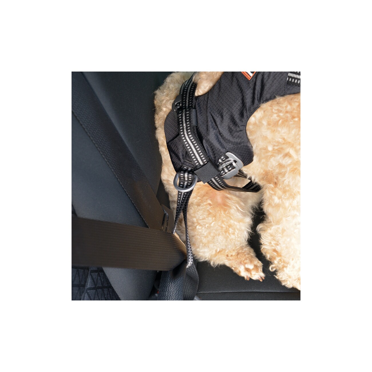 Dogs Creek Auto-Sicherheitsgeschirr Renegade S